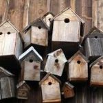 bird house