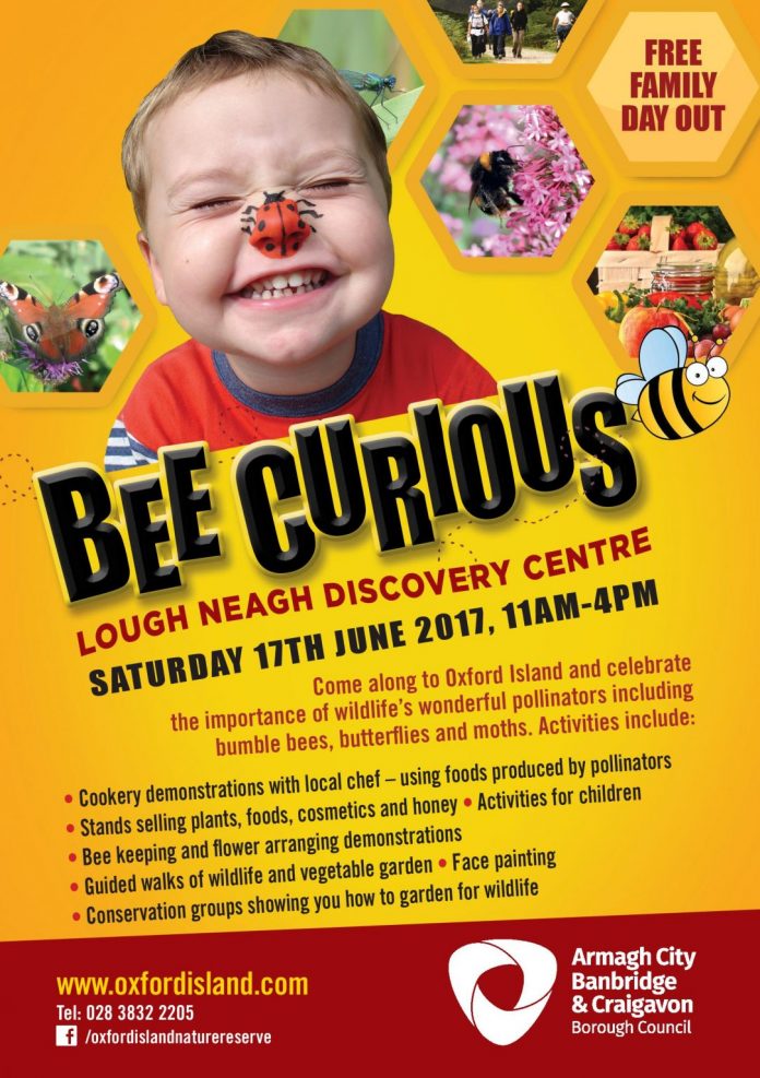 Bee Curious Flyer 2017-page-001 Bee Curious 2017