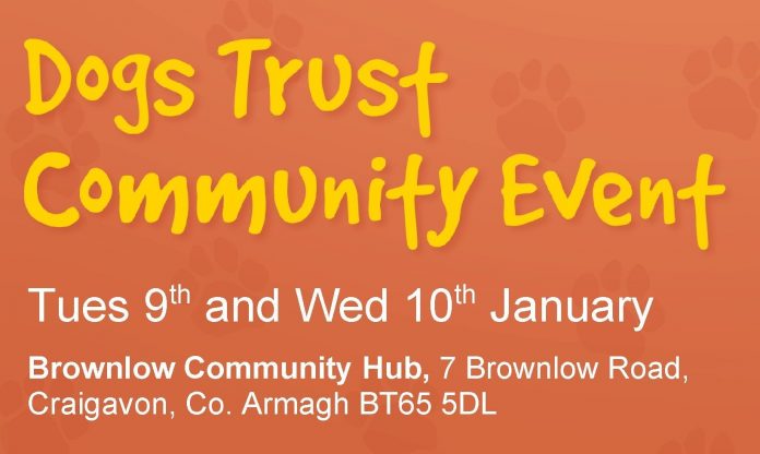 brownlow event cropped