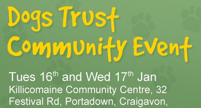 killicomaine dogs trust cropped 2