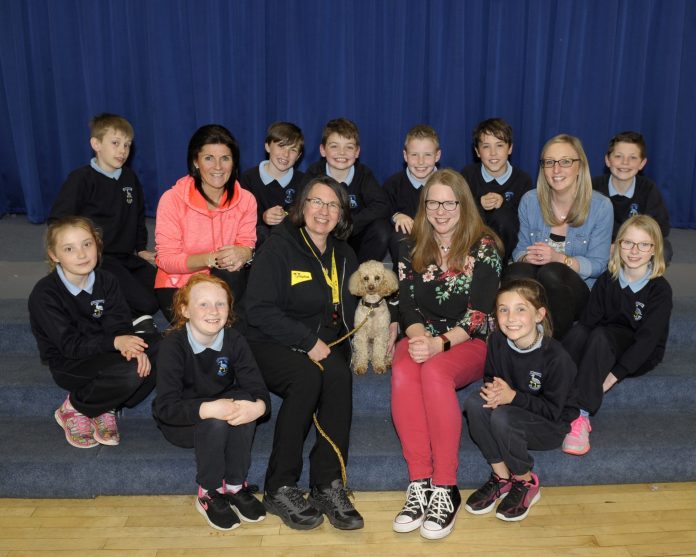 DOGS TRUST Waringstown