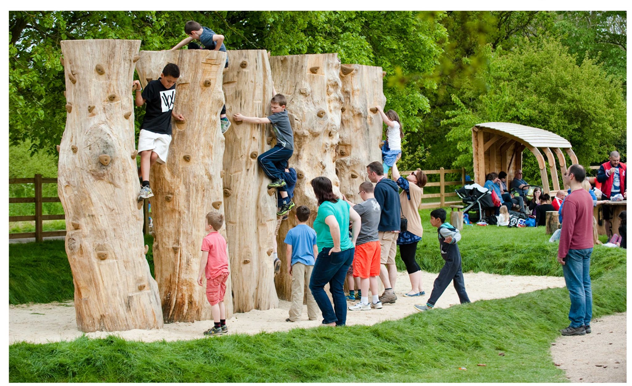 Forest Park Adventure