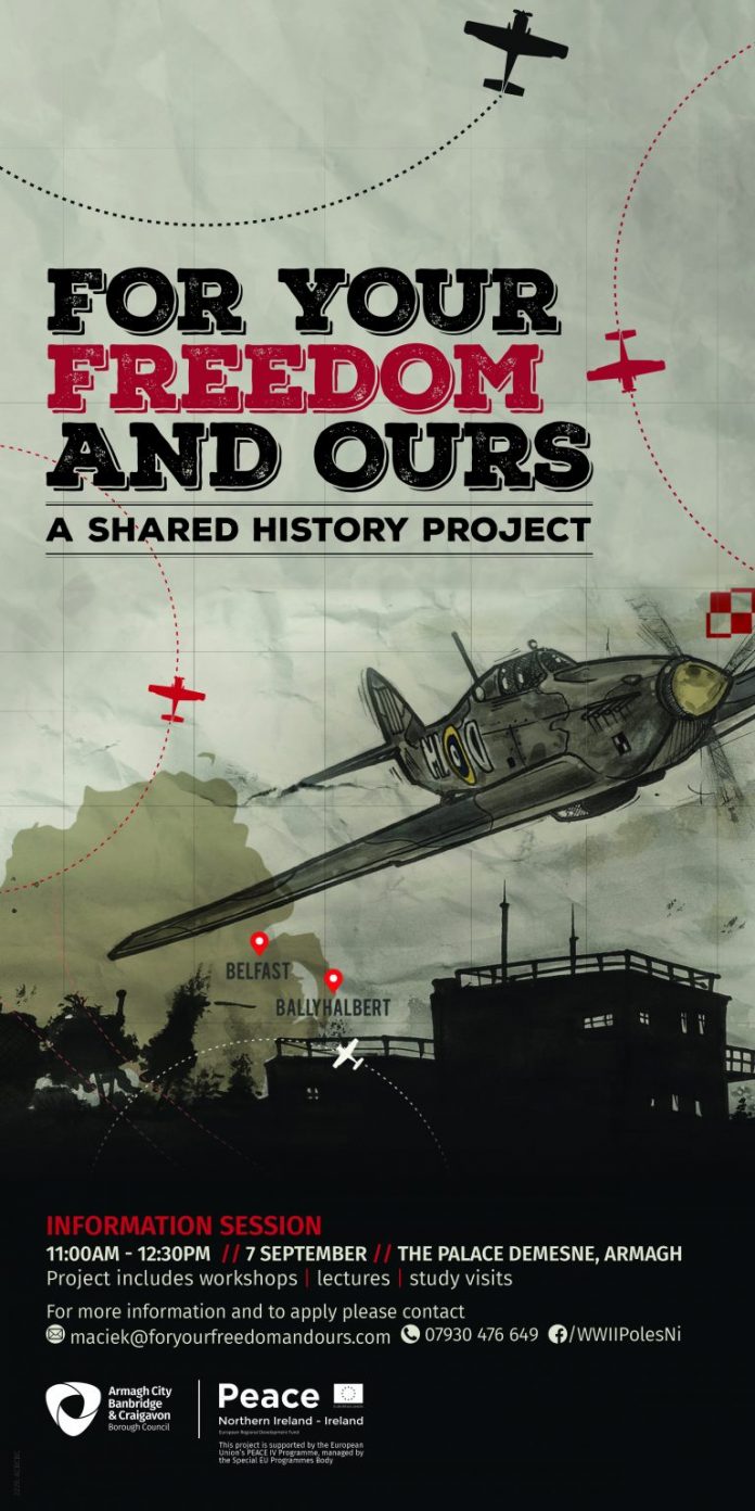 FOR YOUR FREEDOM AND OURS 2019 SLIMLINE POSTER