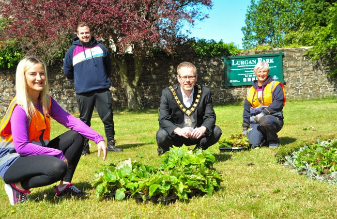 Lord Mayor, Councillor Kevin Savage pictured with council employees Amy Flynn, Michael McDaid and Debbie Knox as they help out with the planting of summer bedding at Lurgan Park last week. Lord Mayor, Councillor Kevin Savage pictured with council employees Amy Flynn, Michael McDaid and Debbie Knox as they help out with the planting of summer bedding at Lurgan Park last week.