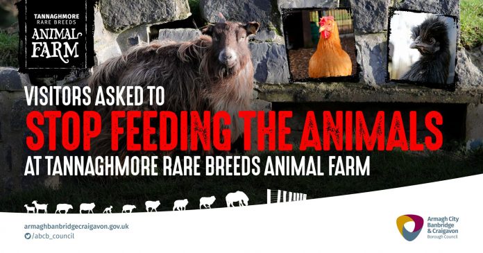 FB POST 1200 x 630 TANNAGHMORE FARM FEEDING GUIDANCE2 Stop Feeding the Animals