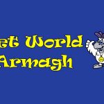 pet-world-armagh