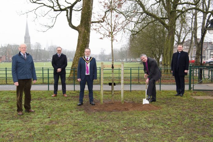 Robinson Library 250th Anniversary Tree Planting