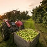 Armagh Apple Orchards Tourism Experience