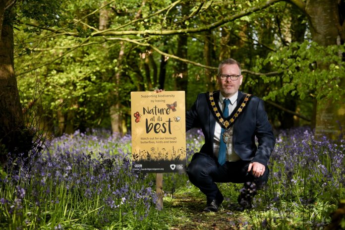The Lord Mayor holding a 'Nature at its best' poster surrounded by bluebells