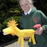 Dromore Central Primary School P7 student