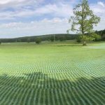 Picture of green field