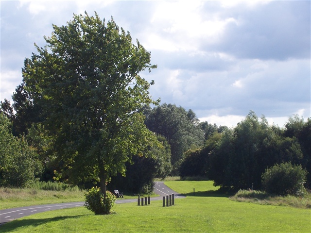 Craigavon lakes image