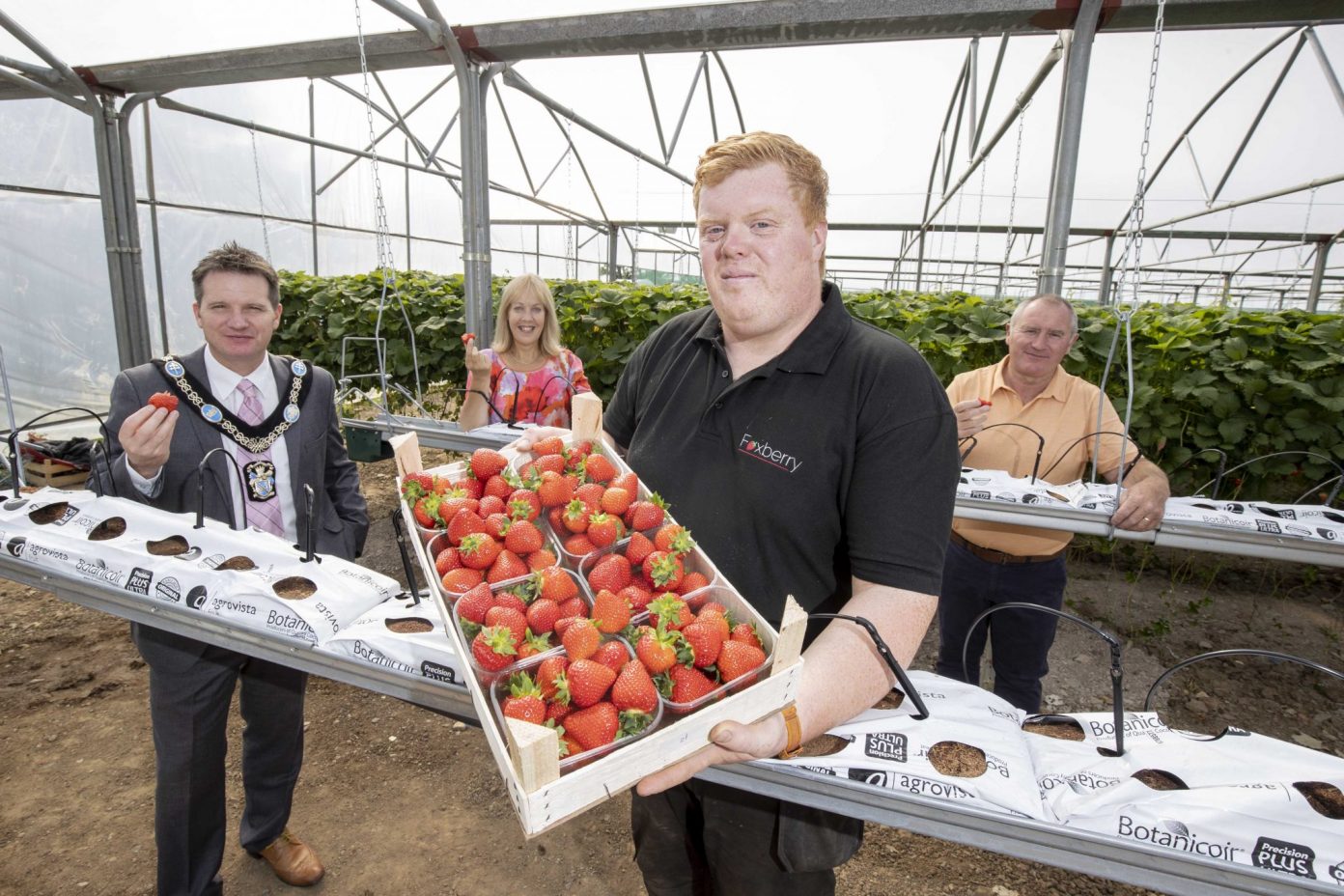 Applications Sought For Rural Business Grant Scheme Armagh City