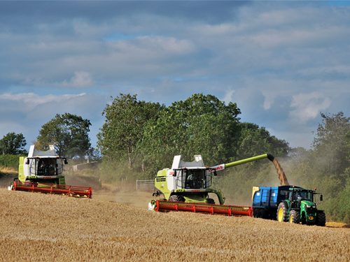 WINNER-Machinery---Stephanie-Megaw Machinery