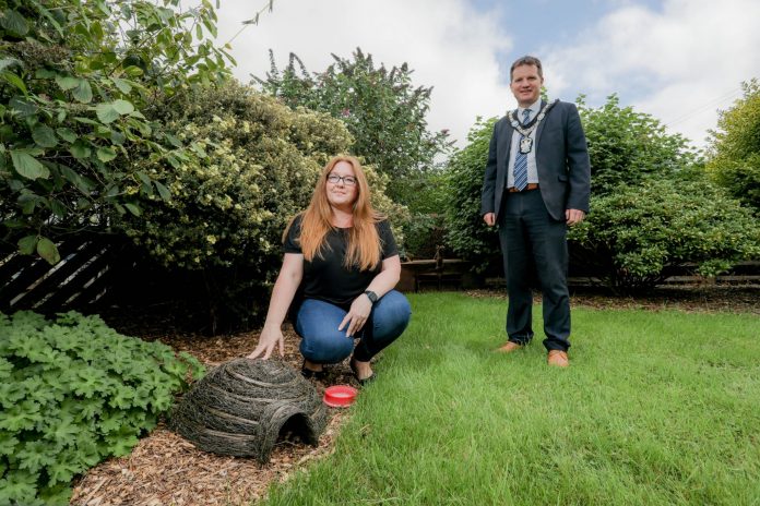 Lord Mayor urges residents to watch out for hedgehogs