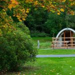 Glamping pods at Gosford