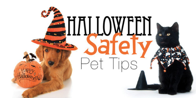 Halloween safety advert