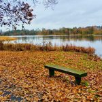 enter the annual Lurgan Park Calendar competition