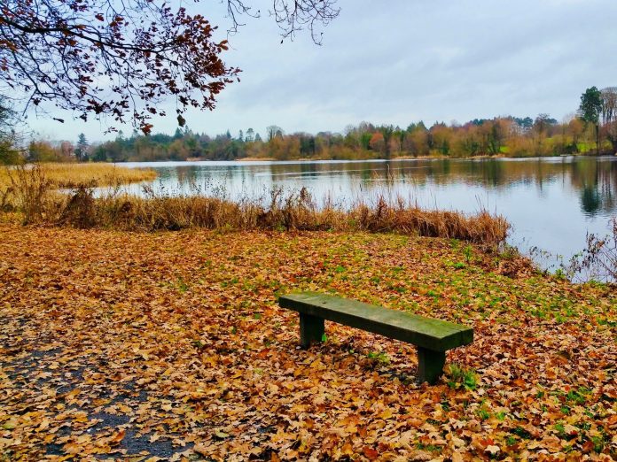 enter the annual Lurgan Park Calendar competition