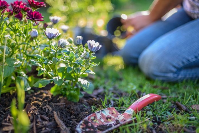 Flowers planting Small Floral Grant Scheme Now Open image