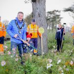 Meadows helping nature bloom in our parks