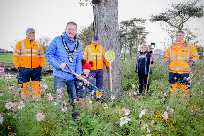 Meadows helping nature bloom in our parks