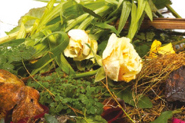 Garden waste image