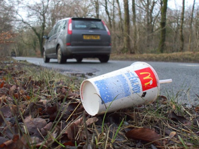 Image of litter on road