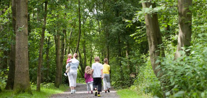 Female and 4 young children walking in the forest.