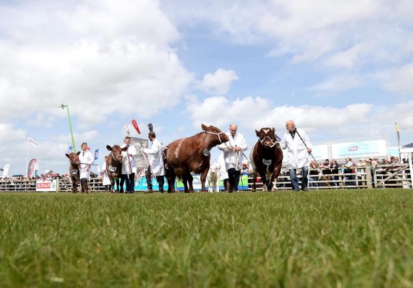 Balmoral show