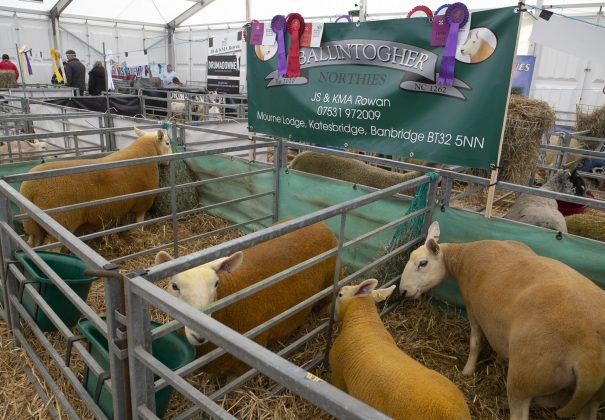 Balmoral show