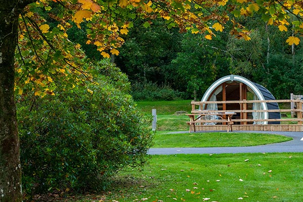 Glamping at gosford image