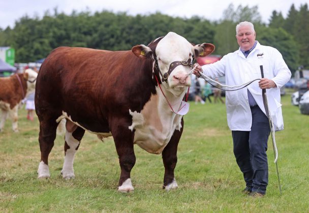 James Graham from Portadown at the 175th Armagh County Show