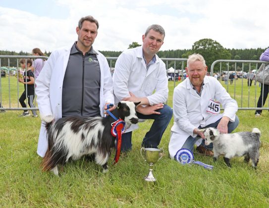 Paddy Gillen, Nathaniel Lennox and Roy Colvin at the 175th Armagh County Show