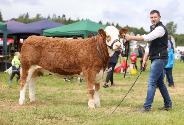 Andrew Clarke from Armagh at the 175th Armagh County Show