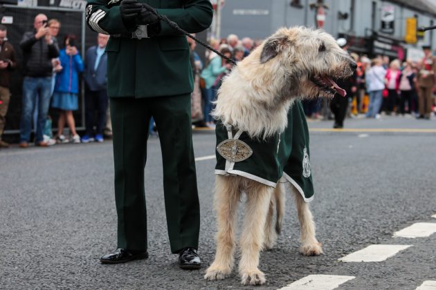 Armed Forces Day