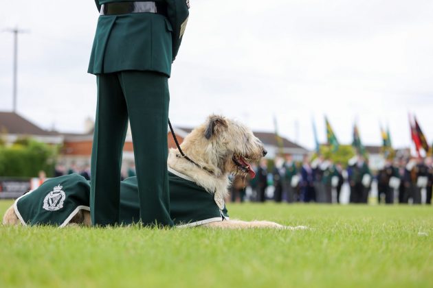 Armed Forces Day