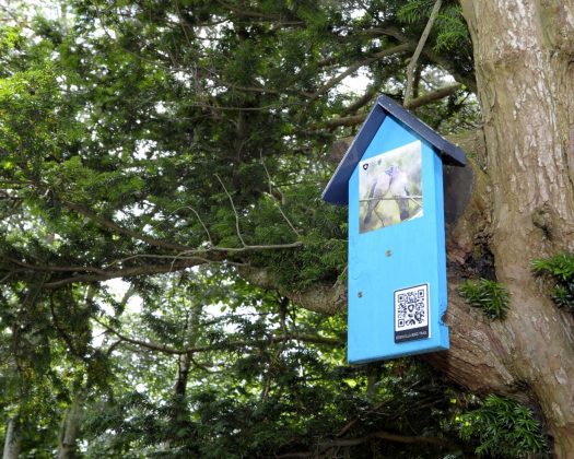 Opening of Edenvilla Park Bird Trail.