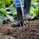 Person gardening