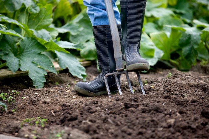 Person gardening