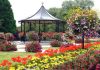 Scarva bandstand in bloom