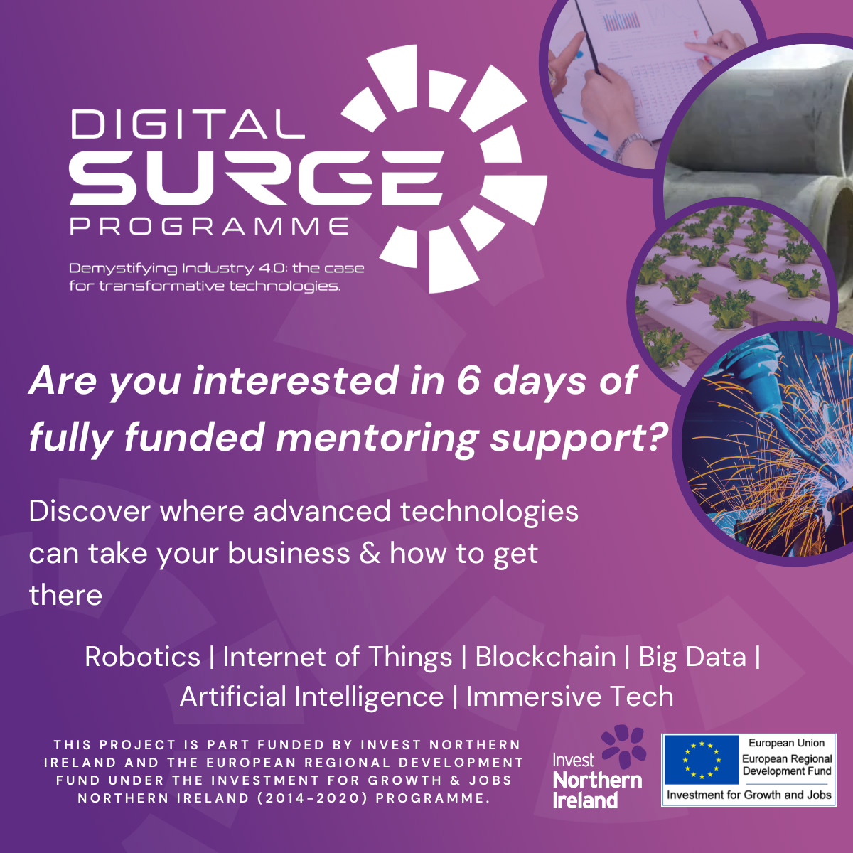 Digital Surge Advert
