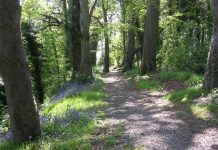 Huntly Wood closed