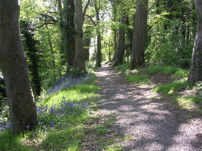 Huntly Wood closed