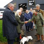 World Sheep Dog Trials