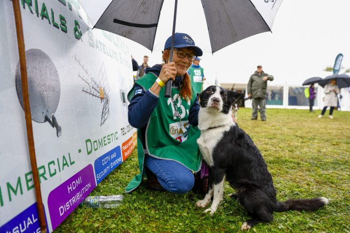 World Sheep Dog Trials