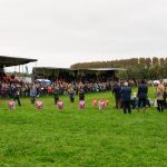 World Sheep Dog Trials