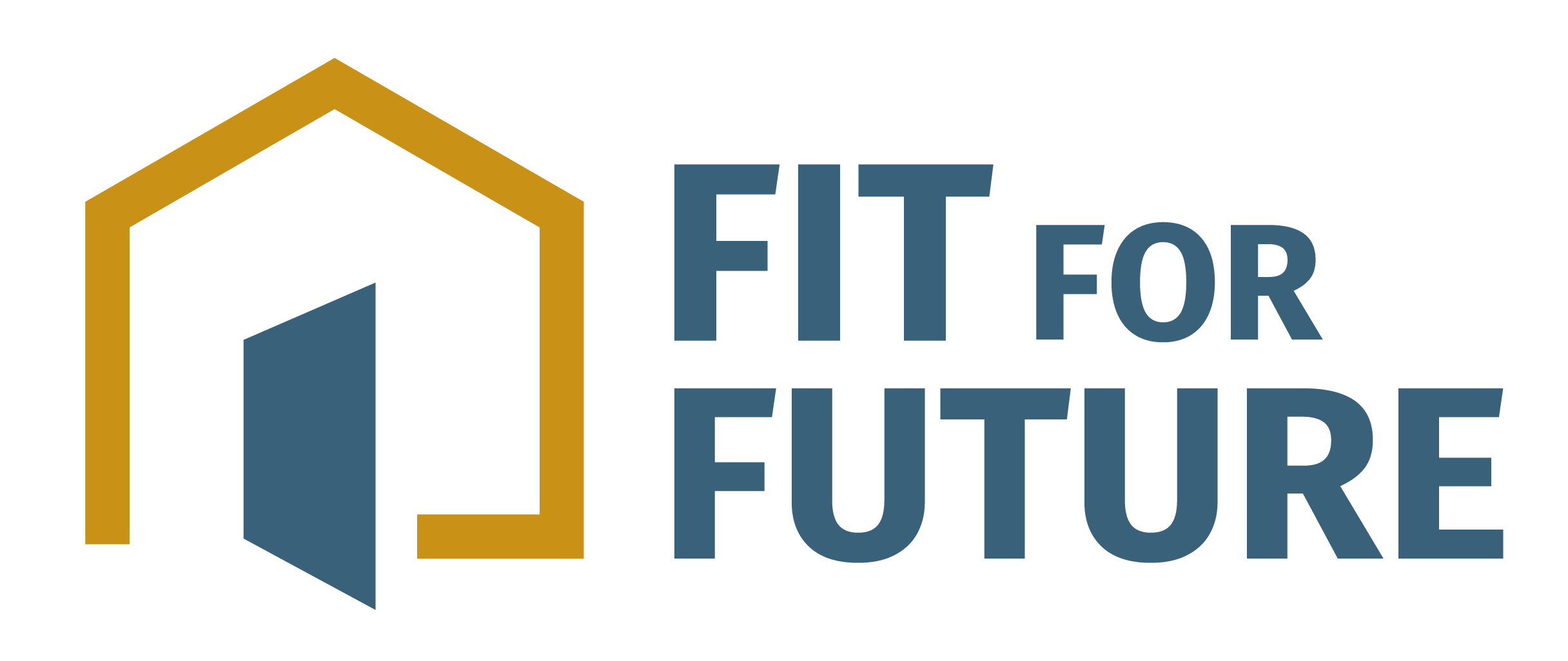 Fit For Future Logo