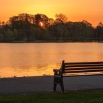 Lurgan Park calendar photo competition