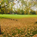 Lurgan Park calendar photo competition